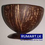 coconut shell dessert cup