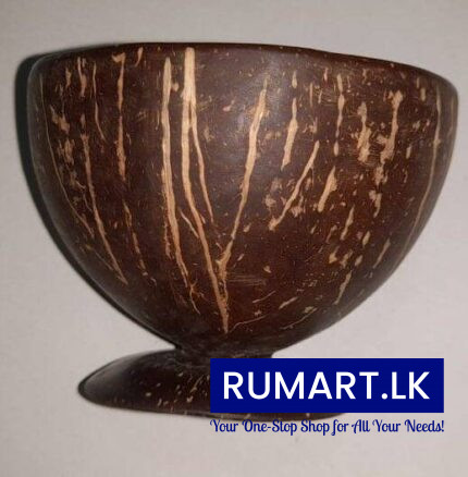coconut shell dessert cup