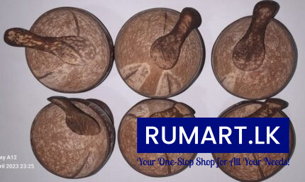 coconut shell dessert cup